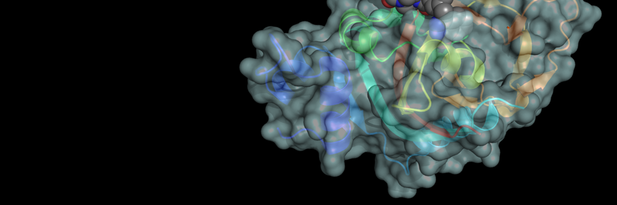 715px-PARP1_binding_olaparib_5DS3 targeted protein degradation