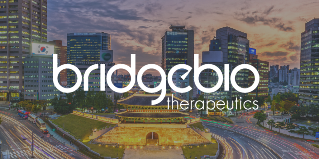 Bridgebio therapeutics logo